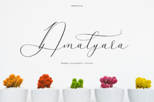 Amalyara: The Elegant Script Typeface for Modern Web Design