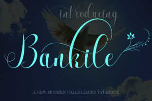 Bankile: The Modern Script Font for Elegant Web Design