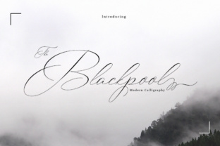 Blackpool: The Modern Script Typeface for Elevating Web Design