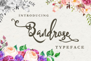 Bringing Warmth to Your Editorial Design with the Bandrose Family Typeface