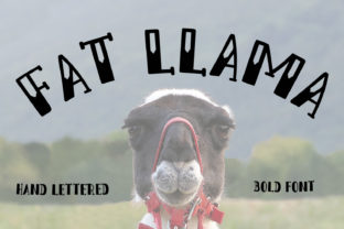 Fat Llama: The Bold Typeface That Elevates Handmade Products