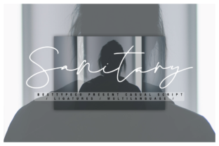 How Sanitary Typeface Transformed My Small Business Brand
