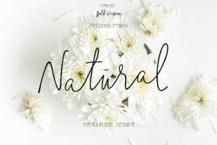 Natural Typeface: A Modern Script for Campaign Visuals