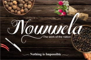 Nowwela: The Premium Script Typeface for High-Impact Campaigns