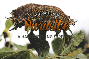 Parasite: A Bold Script Typeface for Modern Editorial Design