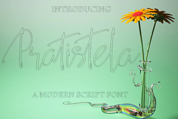 Pratistela: A Designer's Real-World Review for Branding